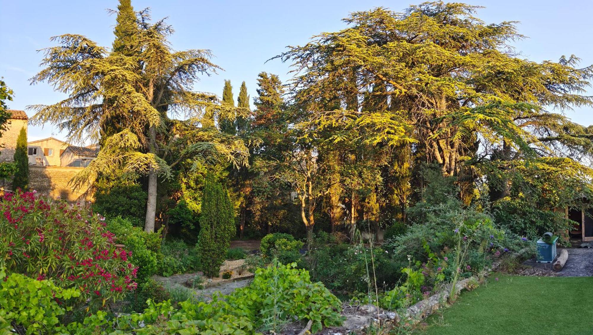 Bed and Breakfast Rue Du Chateau A Cabrieres D'Avignon Екстер'єр фото