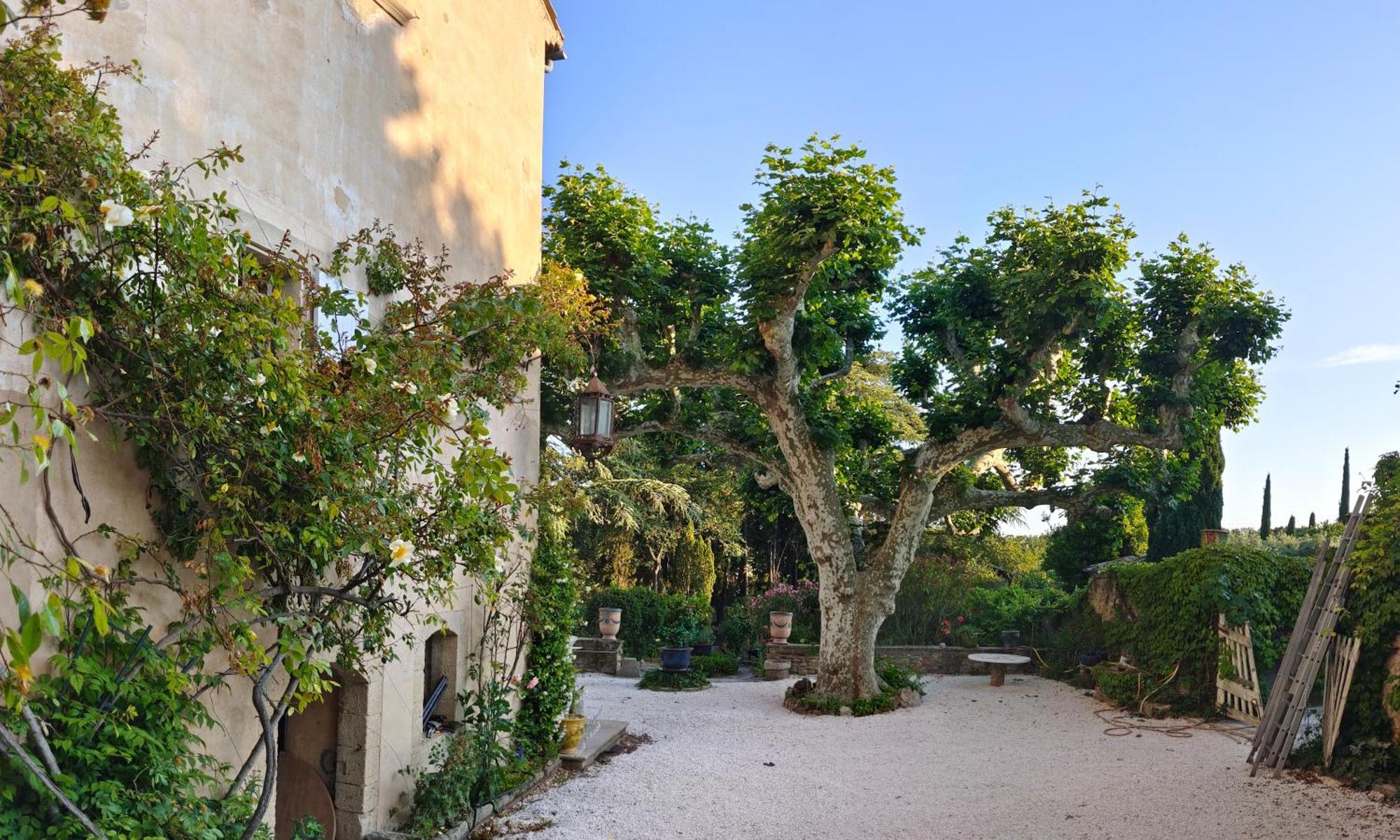 Bed and Breakfast Rue Du Chateau A Cabrieres D'Avignon Екстер'єр фото